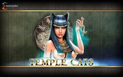 Temple Cats